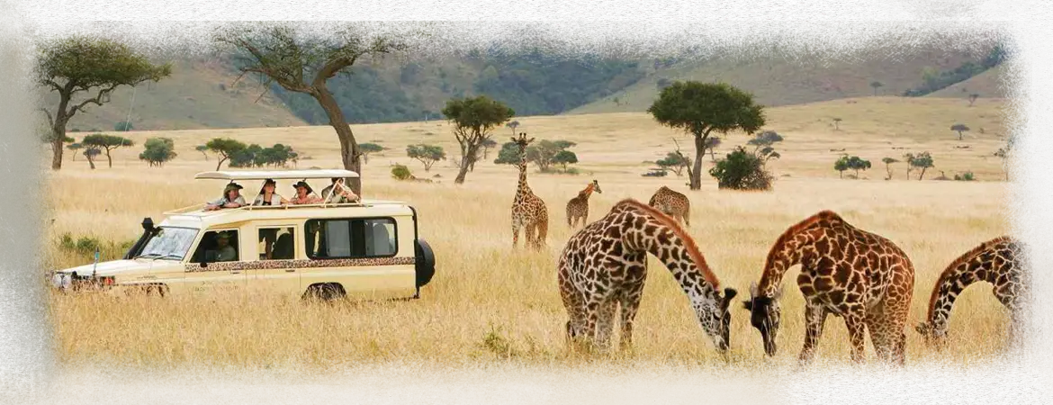 safari-truck